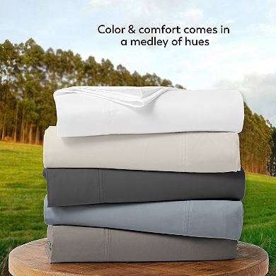 Aireolux 500 Thread Count Sateen Tencel Cotton Sheet Set with Pillowcases