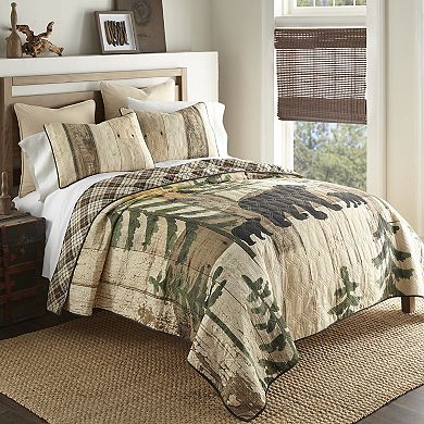 Donna Sharp Painted Bear Quilt Set with Shams