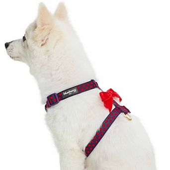 Blueberry Pet Velvety Heart Bow Flocking Dog Harness