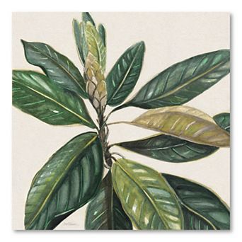 COURTSIDE MARKET Magnolia Leaves II Canvas Wall Art