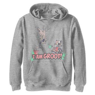 Boys 8-20 Marvel Guardians Of The Galaxy I Am Groot Easter Graphic Hoodie