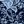 Navy Mirror Floral