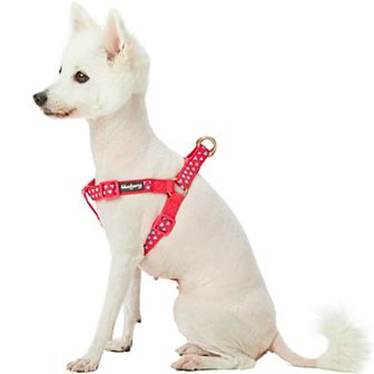 Blueberry Pet Velvety Heart Flocking Dog Harness