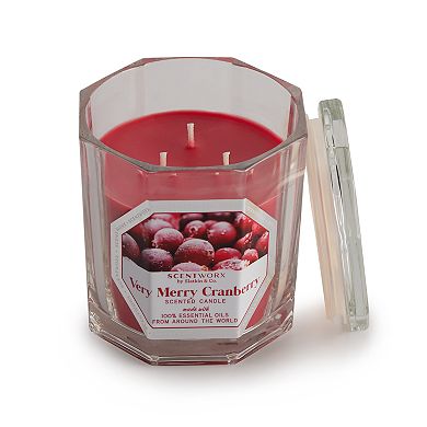 ScentWorx by Slatkin & Co. Very Merry Cranberry 14.5-oz. Candle Jar