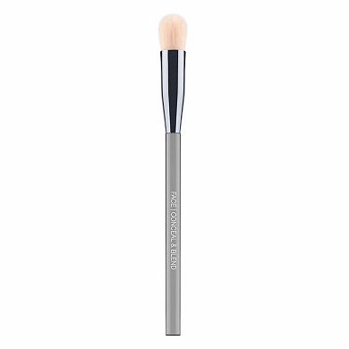 Face/Conceal & Blend Complexion Brush