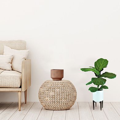 Designs by Lauren 40-in. Artificial Fig Branch Floor Decor