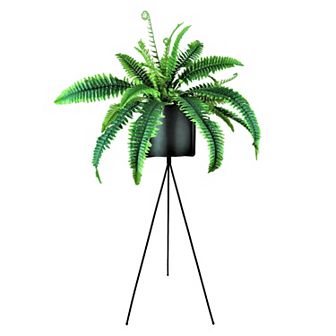 Designs by Lauren 52 in Artificial Fern Floor Decor