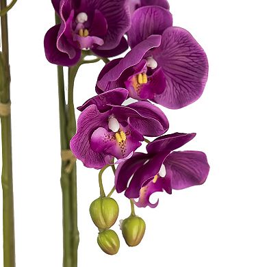 Designs by Lauren 32-in. Artificial Fuchsia Orchid Floor Decor