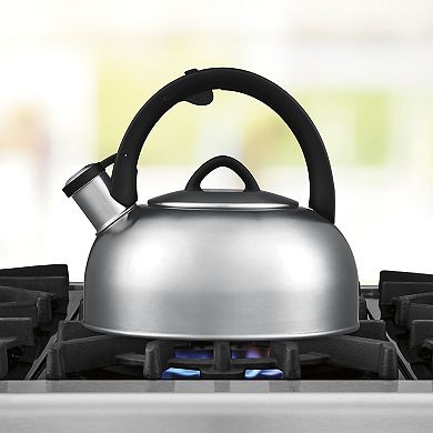 Cuisinart® Classic Brilliance 2-qt. Stainless Steel Tea Kettle