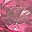 Pink Tourmaline