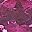 Rhodolite Garnet
