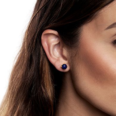 Gemistry 14k Gold Over Silver Lapis Lazuli Stud Earrings & Necklace Set