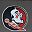 Fsu Gray
