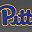 Pit Gray