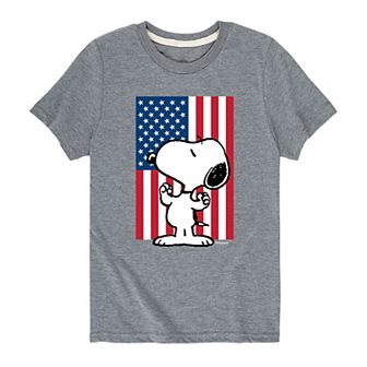 Boys 8-20 Peanuts Snoopy USA Flag Graphic Tee