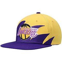 Men's Los Angeles Lakers Mitchell & Ness Purple Hardwood Classics Vintage  Script Snapback Hat