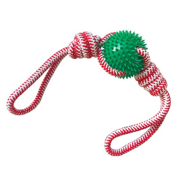 Woof Rope with Rubber Ring Dog Toy