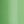 Limegreen
