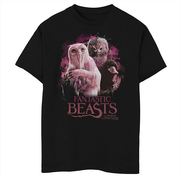 Boys 820 Fantastic Beasts The Crimes of Grindelwald Group Of Magic