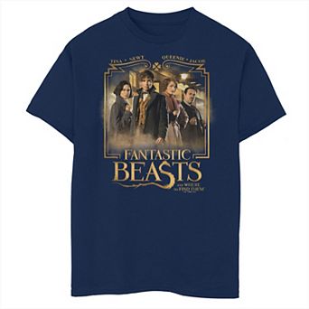 Boys 6-20 Fantastic Beast - Grindelwald Hero Poster Tee