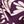 Purple Beige