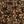 Black Rust