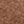 Chestnut