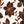 Black White Floral