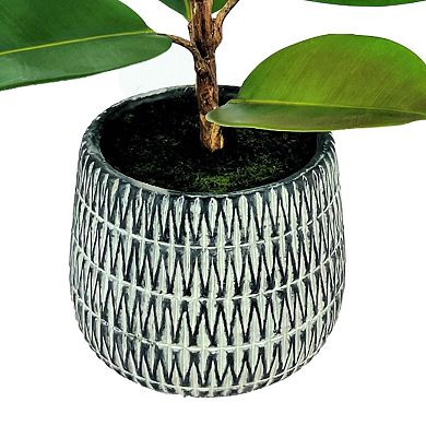 Artificial Rubber Plant Floor Decor