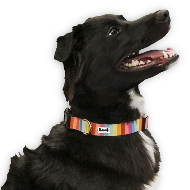 Official MLB Pet Gear, MLB Collars, Leashes, Chew Toys