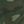 Green Camo