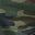 New Moss Camo