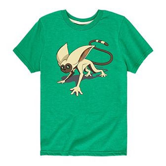 Boys 8-20 Avatar The Last Airbender Momo Tee