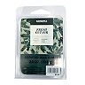 Sonoma Goods For Life 2.5-oz. Fresh Cut Fir Wax Melts 6-piece Set