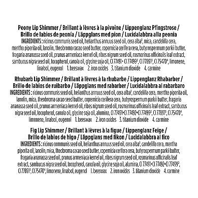 Burt's Bees 3-pc. Kissable Color Lip Shimmer Gift Set