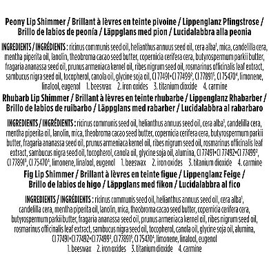 Burt's Bees 3-pc. Kissable Color Lip Shimmer Gift Set