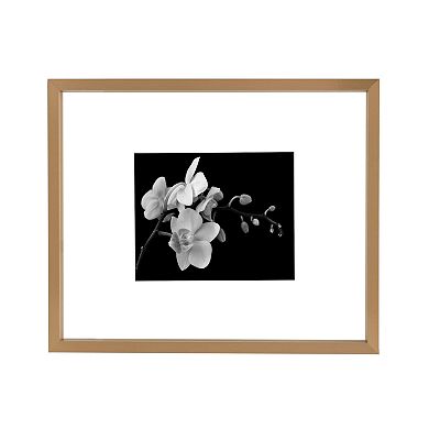 Mikasa Floating Portrait 8" x 10" Frame