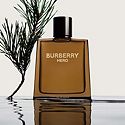 Cologne & Grooming