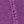 Fiesta Violet