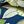 Marlow Blue Floral