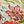 Breeze Floral