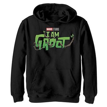 Boys 8-20 Marvel I am Groot Green Logo Hoodie