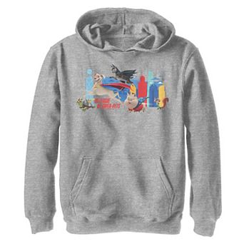 Boys 8-20 DC Comics Super Pets City Group Shot Hoodie