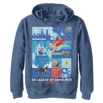 Boys 8-20 DC Super Pets Block Panels Hoodie
