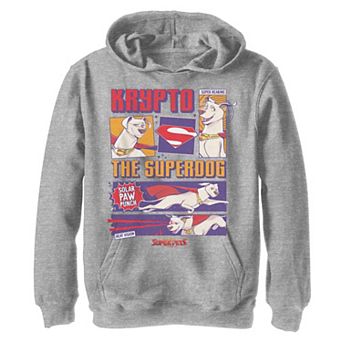 Boys 8-20 DC Super Pets Krypto The Super Dog Panels Hoodie