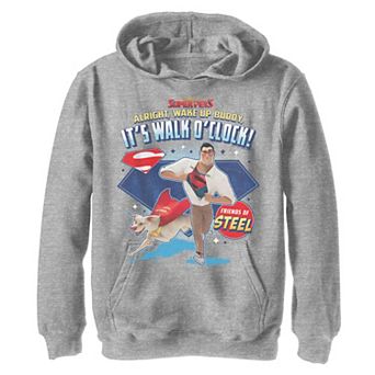 Boys 8-20 DC Super Pets It's Walk O'clock Friends Of Graphic Teel Hoodie