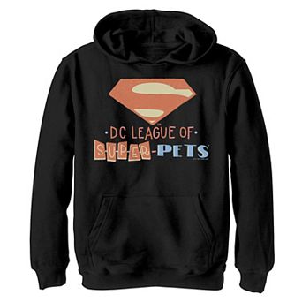 Boys 8-20 DC Super Pets Superman Logo Hoodie