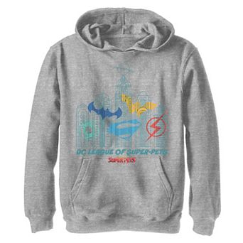 Boys 8-20 DC Comics Super Pets DC Super Pets Super Logo Hoodie