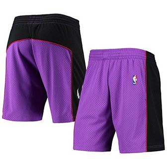 Men's Mitchell & Ness Purple Toronto Raptors Hardwood Classics Primary Logo Swingman Shorts