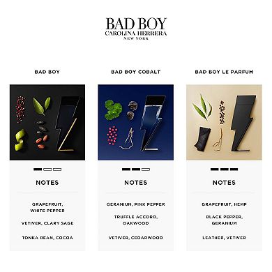 Bad Boy Cobalt Eau de Parfum